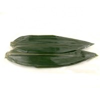 Sushi natural organic dry artificial fresh bamboo leaves